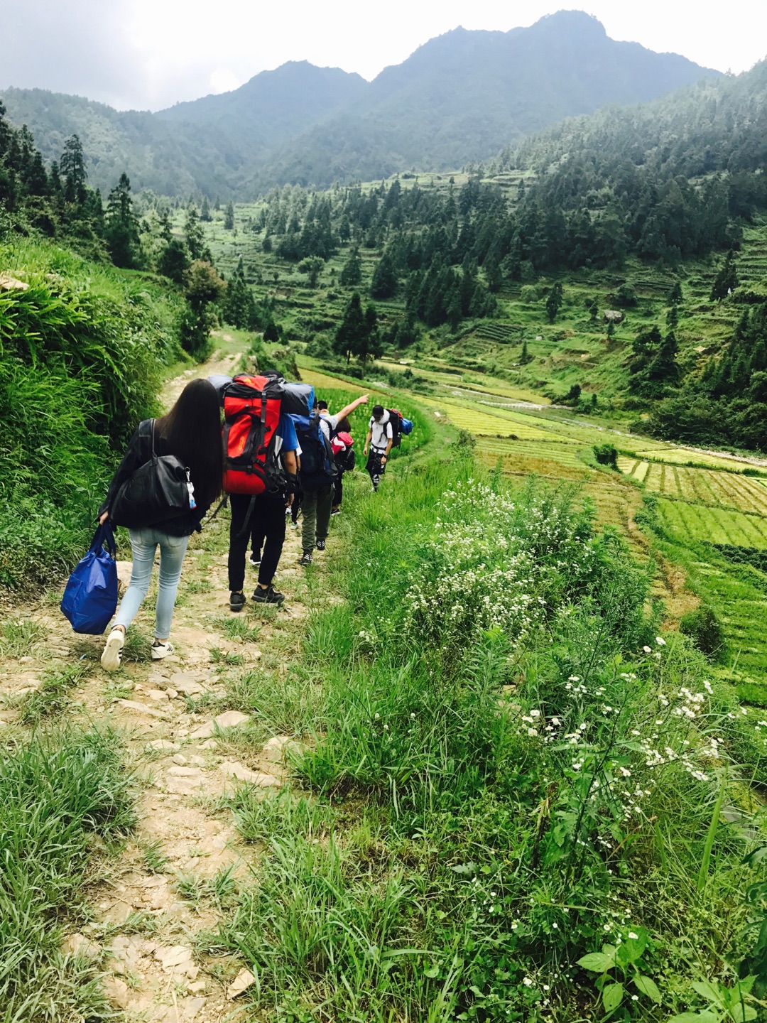 1608861738333543.jpg 羽翼未豐盼望飛 展翅翱翔惦記歸.jpg